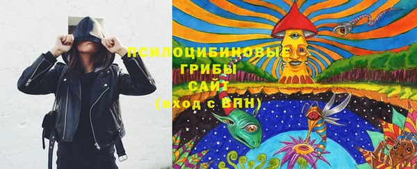 амф Алексин