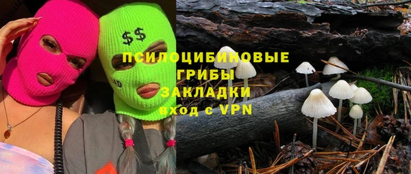 амф Алексин