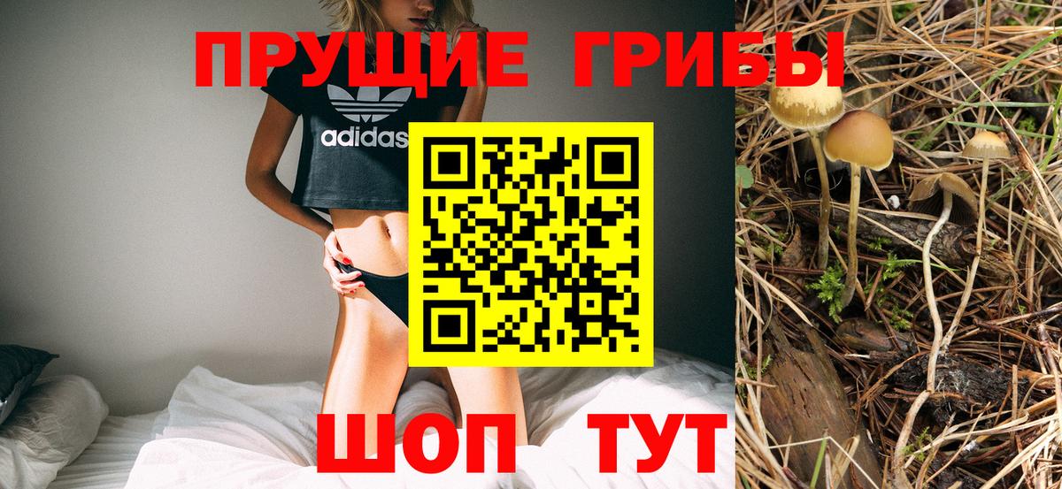 хочу наркоту  Псилоцибиновые грибы Psilocybine cubensis  Вход с VPN  Котлас 