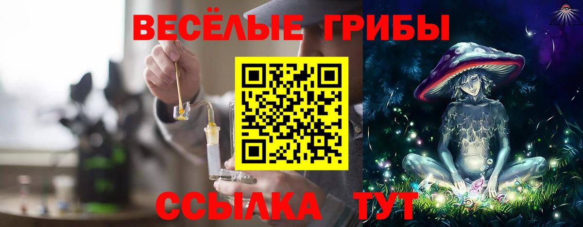 Галлюциногенные грибы мухоморы Котлас